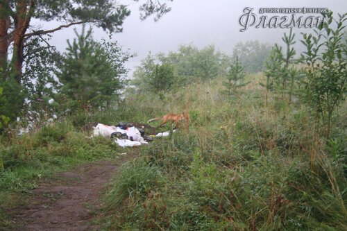 bereg_2009_priroda_3820_flagmanenok-ru